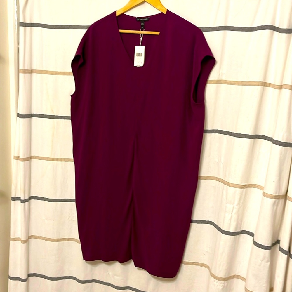 NWT Eileen Fisher Silk Georgette Crepe Dress - S/P